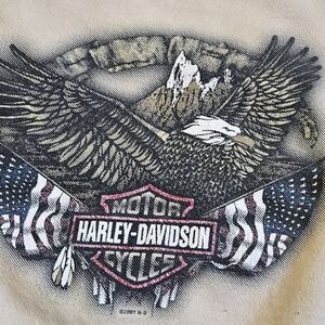 Vintage Y2k Harley-Davidson Beige Eagle Graphic Fleece Sweatshirt Men's Size L